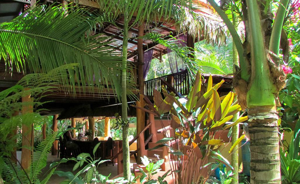 Caribe Town Bungalows Puerto Viejo de Talamanca Exterior photo