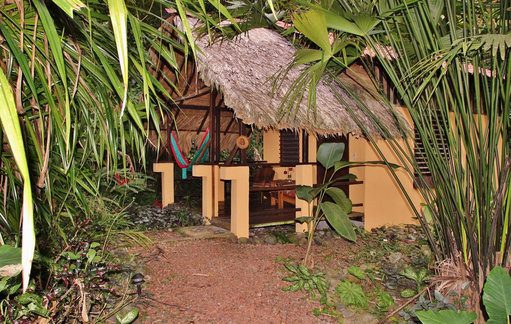 Caribe Town Bungalows Puerto Viejo de Talamanca Room photo