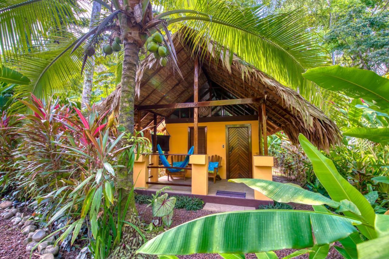 Caribe Town Bungalows Puerto Viejo de Talamanca Exterior photo